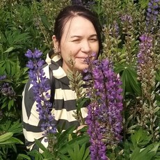 Фотография девушки Аделия, 50 лет из г. Бураево