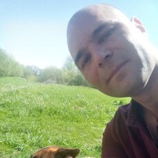 Фотография мужчины Дмитрий, 39 лет из г. Витебск