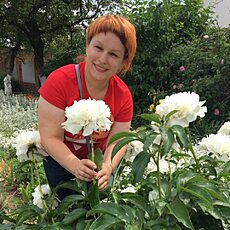 Фотография девушки Наталья, 54 года из г. Смоленск