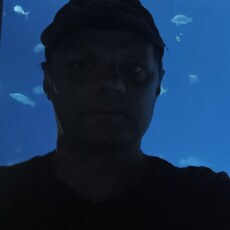 Фотография мужчины Maks, 41 год из г. Череповец