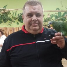 Фотография мужчины Сергей, 51 год из г. Кротошин