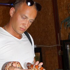 Фотография мужчины Алексей, 35 лет из г. Симферополь