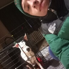 Фотография мужчины Денис, 26 лет из г. Пушкино (Московская Обл)