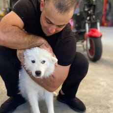 Фотография мужчины Георгий, 38 лет из г. Сочи