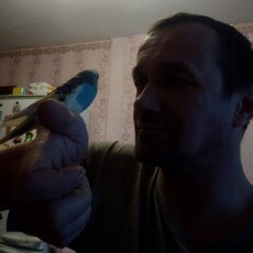Фотография мужчины Николай, 42 года из г. Новодвинск
