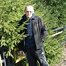 Фотография мужчины Михаил, 52 года из г. Сертолово