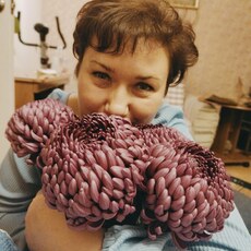 Фотография девушки Юлия, 50 лет из г. Батайск