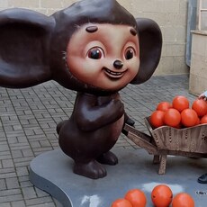 Фотография девушки Светлана, 60 лет из г. Ахтубинск