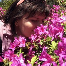 Фотография девушки Алена, 43 года из г. Кемерово