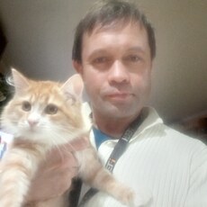 Фотография мужчины Виталий, 50 лет из г. Подольск