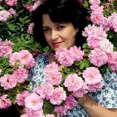 Фотография девушки Татьяна, 46 лет из г. Белгород