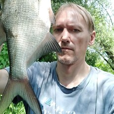 Фотография мужчины Алексей, 45 лет из г. Алексин
