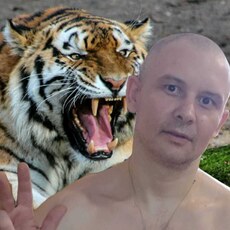Фотография мужчины Виталий, 42 года из г. Винница