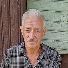 Фотография мужчины Владимир, 66 лет из г. Несвиж