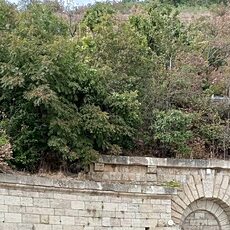 Фотография мужчины Вячеслав, 40 лет из г. Куровское