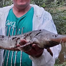 Фотография мужчины Валерий, 43 года из г. Железнодорожный