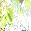 Михаил, 39 лет