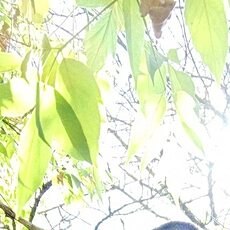 Фотография мужчины Михаил, 39 лет из г. Псков