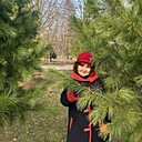 Светлана, 62 года
