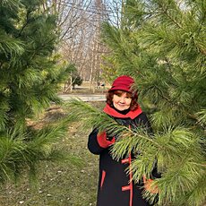 Фотография девушки Светлана, 62 года из г. Мытищи