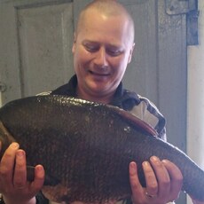 Фотография мужчины Сергей, 38 лет из г. Черновцы