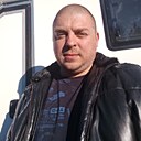Лев, 41 год
