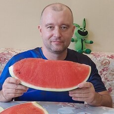 Фотография мужчины Алекс, 42 года из г. Краснотурьинск