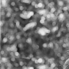 Фотография девушки Мария, 50 лет из г. Челябинск