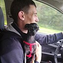 Александр, 37 лет