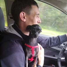 Фотография мужчины Александр, 37 лет из г. Набережные Челны