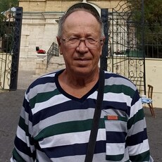 Фотография мужчины Viktor, 65 лет из г. Таганрог