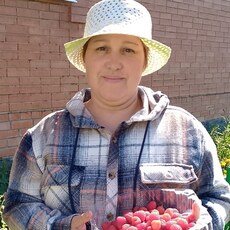 Фотография девушки Фаиля, 44 года из г. Нурлат