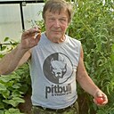Сергей, 68 лет