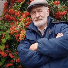 Фотография мужчины Владимир, 65 лет из г. Железноводск