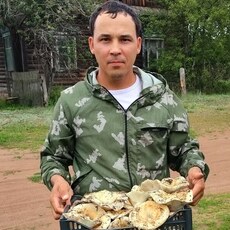 Фотография мужчины Сергей, 36 лет из г. Нефтегорск (Самарская Область)