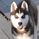 Луйко Зобар, 53 года