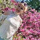 Арина, 56 лет