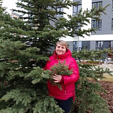 Фотография девушки Светлана, 56 лет из г. Курган