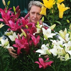 Фотография девушки Елена, 47 лет из г. Ногинск