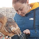 Сова, 48 лет