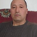 Тема, 41 год