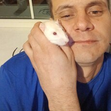Фотография мужчины Доброслав, 34 года из г. Дятьково