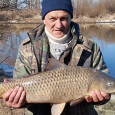 Фотография мужчины Андрей, 63 года из г. Нижний Новгород