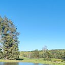 Mаriнa, 40 лет