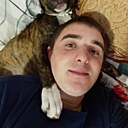 Кот, 24 года