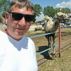 Фотография мужчины Николай, 37 лет из г. Орск