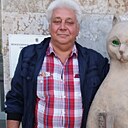 Amigo, 59 лет