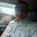 Алексей, 37 лет