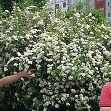 Фотография мужчины Игорь, 62 года из г. Воронеж