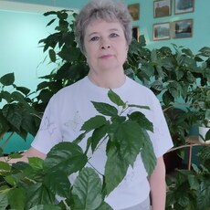 Фотография девушки Раиса, 69 лет из г. Курская